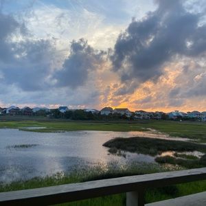 Meet your Posher, Holly